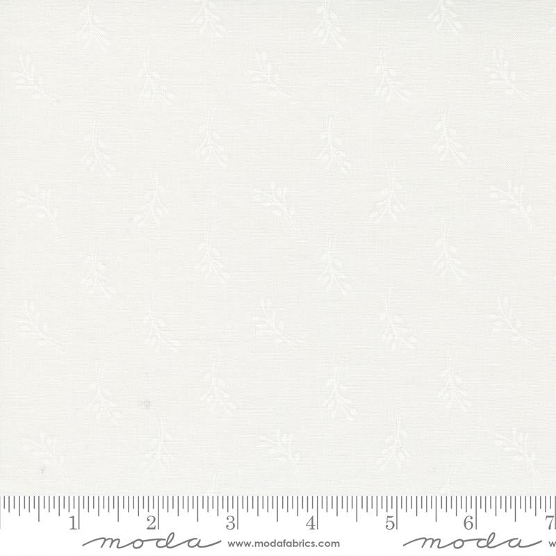 29145 11 Coriander Seeds  Little Miss Shabby