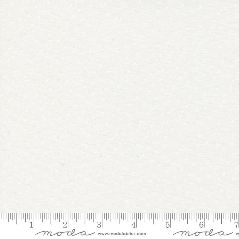 29146 11 Coriander Seeds  Little Miss Shabby