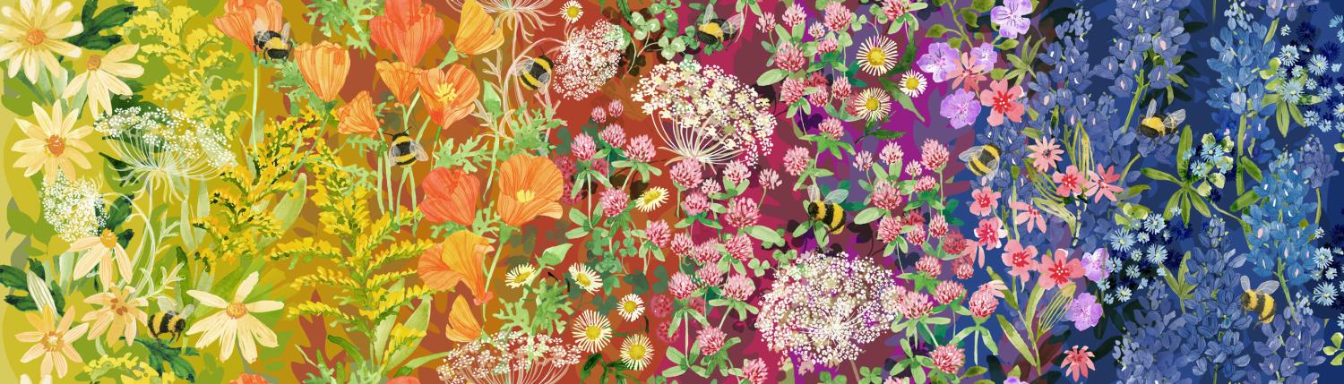 48730 11 Wild Blossoms           Rainbow