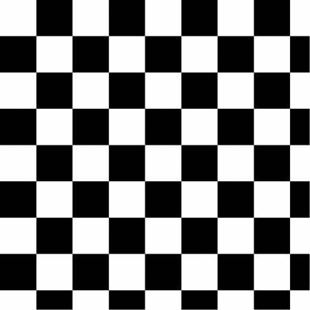 53775-3 White Checkerboard