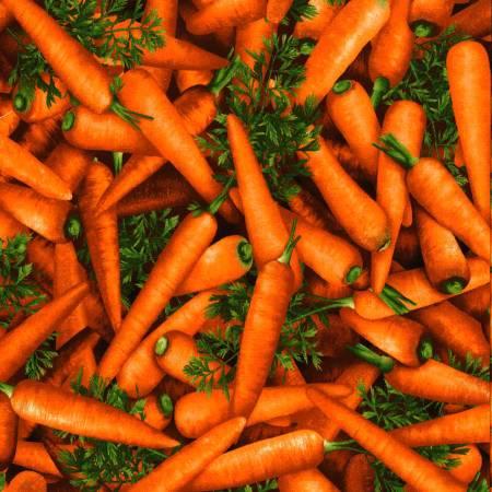 595001 Market Place-Carrots Digitally