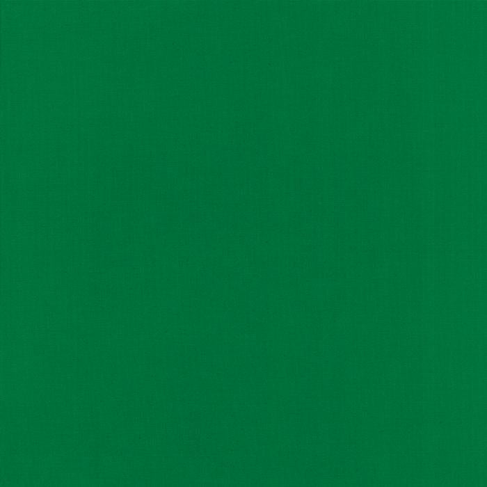 9900 371 Bella Solids  Leprechaun