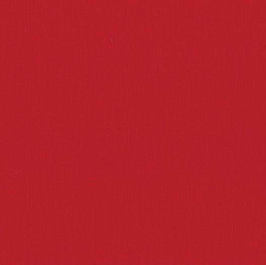 Bella Bias Tape Christmas Red