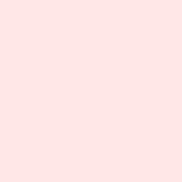 Tula Pink Solids CSFSESS.Peachfuzz