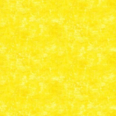 Canvas 9030-50