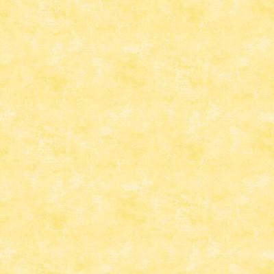 Canvas 9030-51