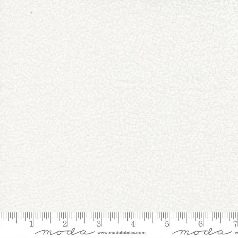 29148 11 Coriander Seeds  Little Miss Shabby