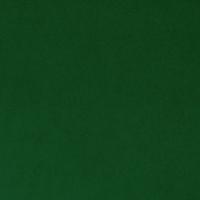 Evergreen Cuddle Solid