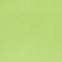 Lime Cuddle Solid