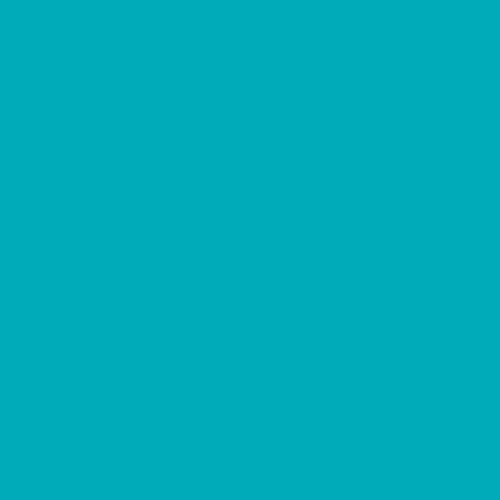 PE-402 Cozumel Blue