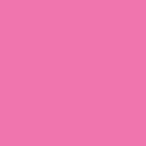 PE-404 Festival Fuchsia