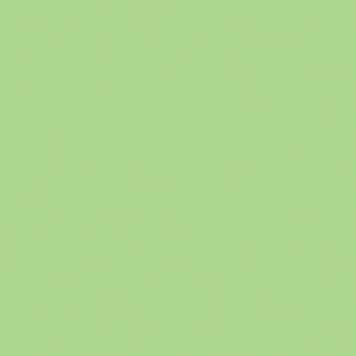 PE-462 Pistachio Creme