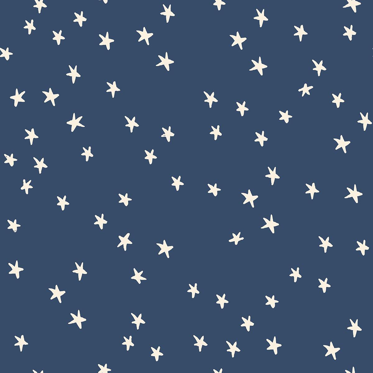 Starry RS4109 60