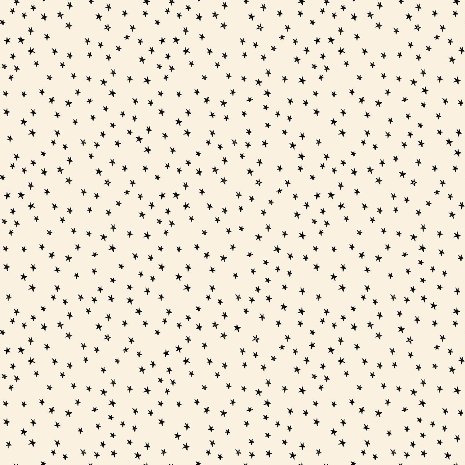 RS4110 21 Starry Mini Starry      Natural