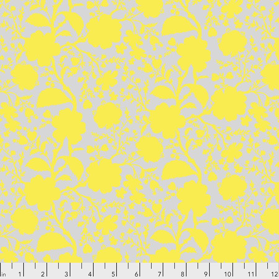 True Colors - Wildflower PWTP149.Daisy